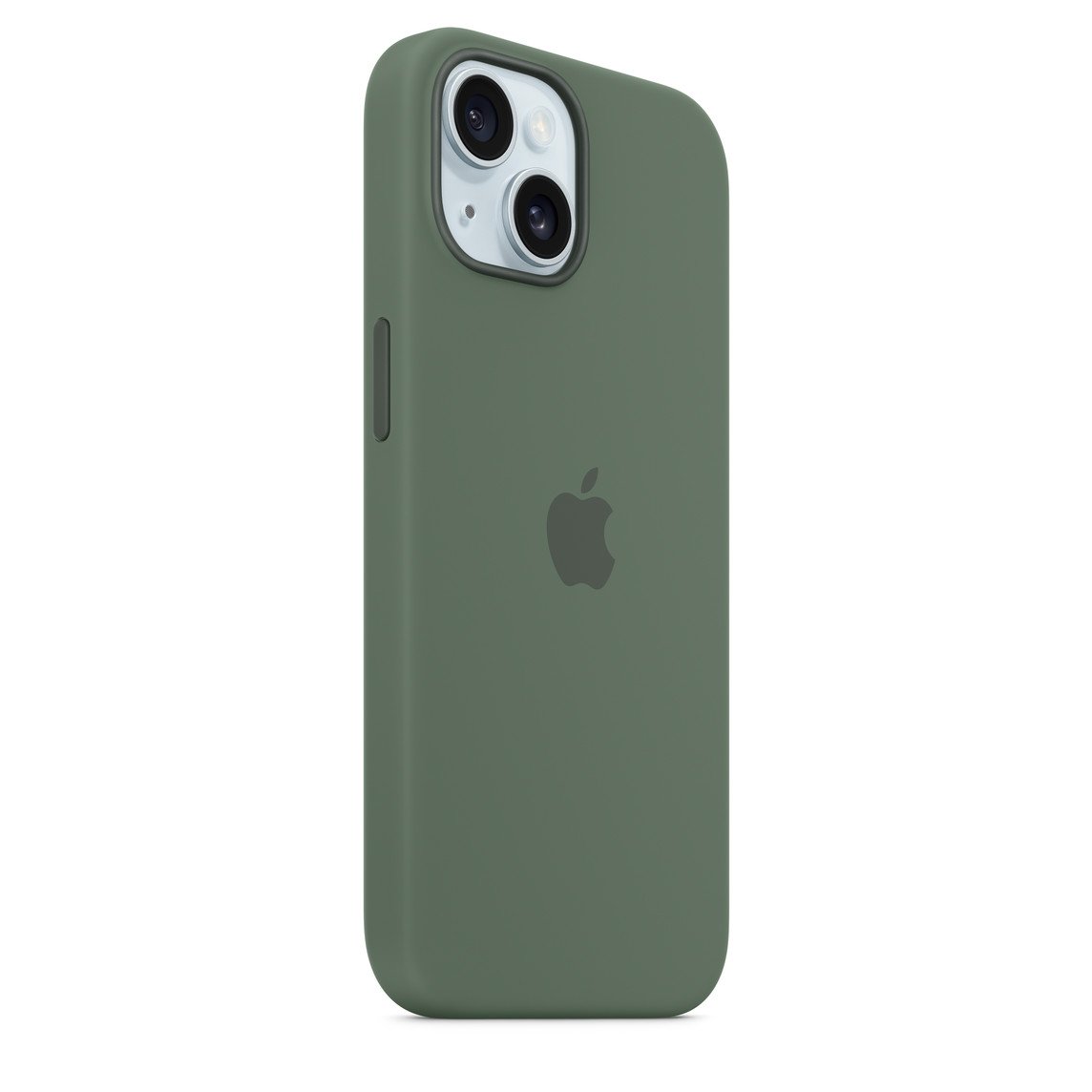 green Cypress 1